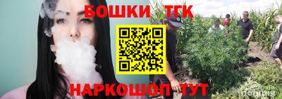 крисы Гатчина