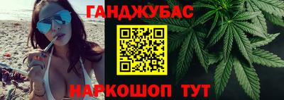 крисы Гатчина