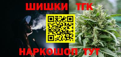 крисы Гатчина