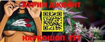 мдпв Гагарин
