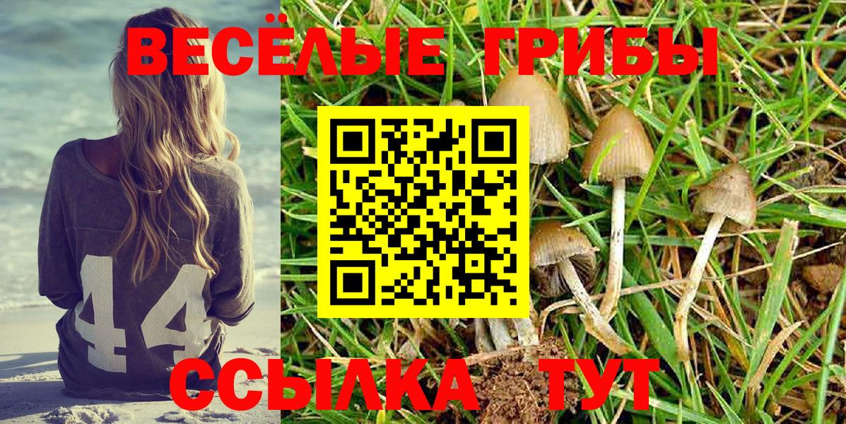 Галлюциногенные грибы Magic Shrooms Владимир