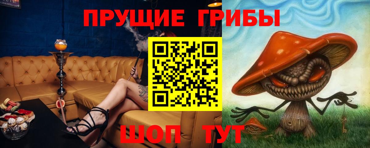 Галлюциногенные грибы прущие грибы  Вход с VPN  Владимир 